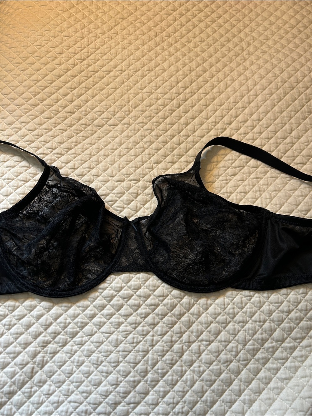 Sheer Black Lace Underwire Bra with Supportive Fit